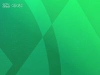 �������� �������VS���ݾ��ֲ���ط 20250511