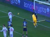 ������� ������VS���� 20241228